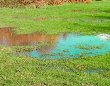 flooded field due to irrigation leak