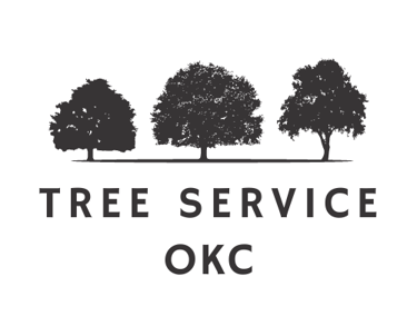Emergency Tree Removal Warr Acres