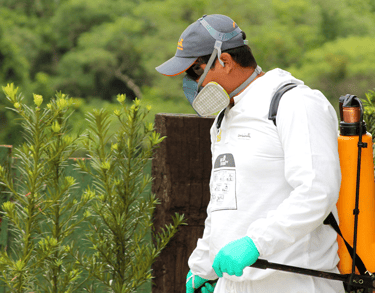 dedetização em jardim