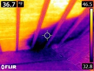 thermal image of a wall in a home thats leaking