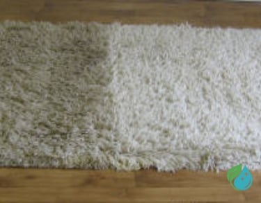 Résultat nettoyage tapis shaggy blanc par NetT à Toulouse avant après