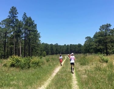Ultra runners on grassy course