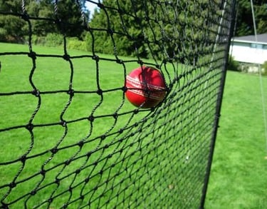 cricket Net