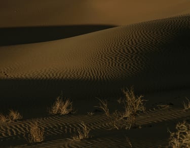 Kyzylkum Desert at night