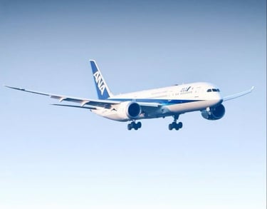 Avion comercial boing 787