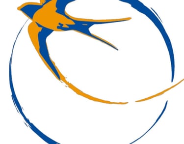 Ocell blau i taronja del logo del esplai sant medir