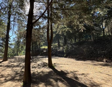 Terraza para eventos woodscape