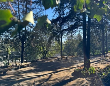 Terraza para eventos woodscape