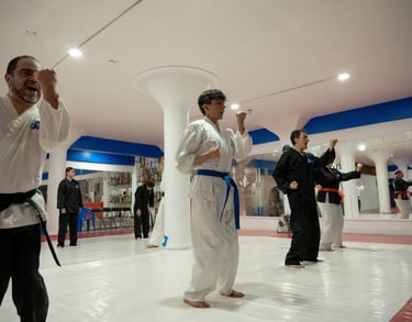 Jovenes y adultos practicando karate en la narvarte en Sharks Academy