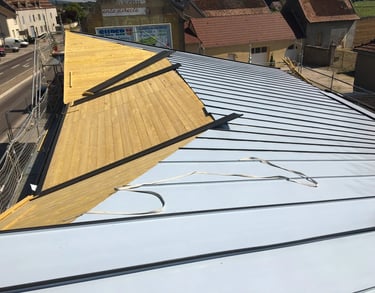 Différents types de toiture pour abri de jardin en bois