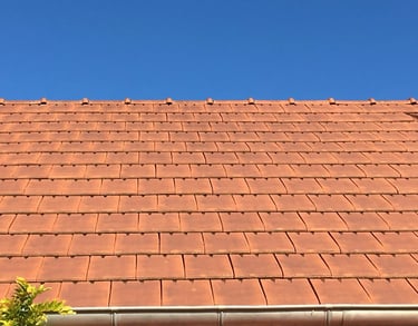 Différents types de toiture pour abri de jardin en bois