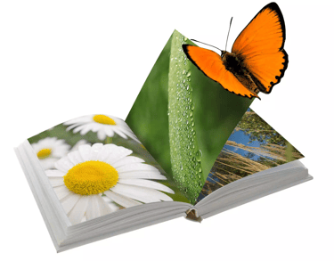 Impresión de Libros Solo con Texto o con Imágenes