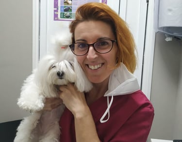 conjuntivitis en perros