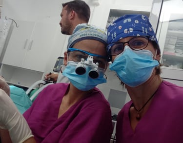 úlcera corneal en gatos