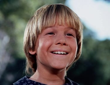 David Friedman as Jason Carter in Little House on the Prairie