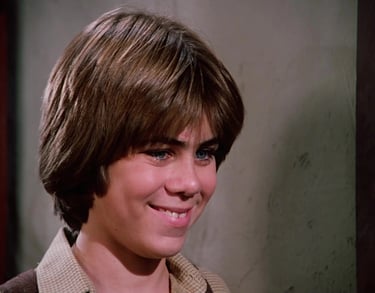 Patrick Labyorteaux as Andy Garvey on Little House on the Prairie