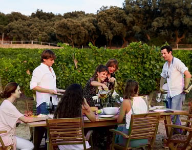 cata de vinos ronda