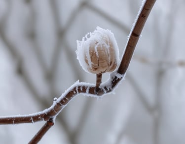 a man riding a skateboard down the side of a ramp