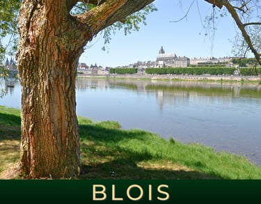 Blois les plus belles choses à faire