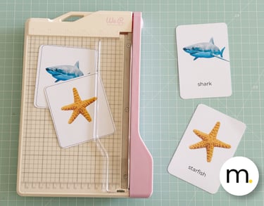 Printed Montessori flash cards English Spanish real photographs