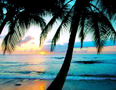 image banner