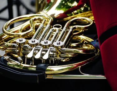 un cor dans son étui rouge