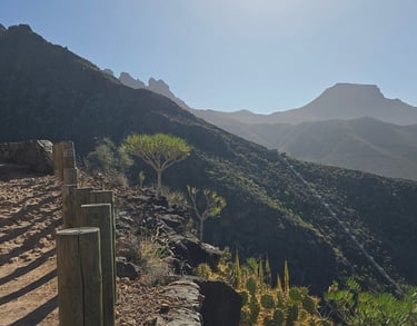 Rocky volcanic gorge with green cliffs and a narrow trail in Barranco del Infierno