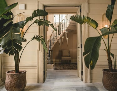 Entrée cage d'escaliers