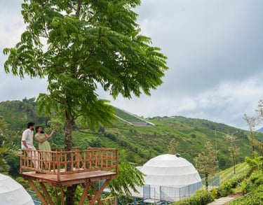 Monticle Glamps, located in Vattapathal, Vagamon