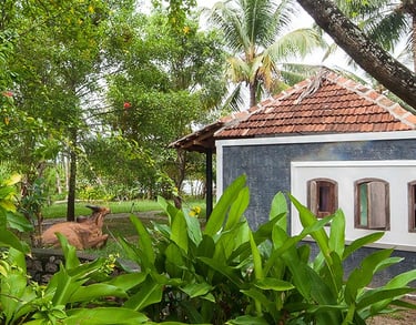 Kayal is a boutique island retreat, located in the backwaters of Kerala.