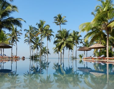 Serene Kerala landscape featuring lush coconut trees and a tranquil infinity pool reflecting the clear blue sky.