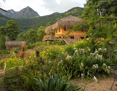 Kerala mud house surrounded by vibrant flowers and lush greenery, with mountains in the background.