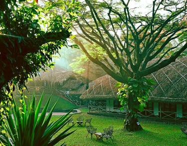 Kerala jungle retreat featuring thatched-roof cottages, lush greenery, and outdoor seating, evoking immersive experience.