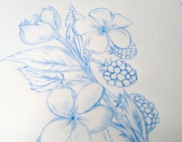 desenho de jasmim branco e amora