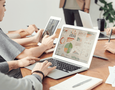 Leadership Mentoring. 