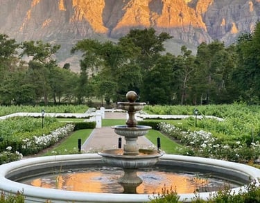 Stellenbosch estate setting reflecting long-term investment culture