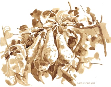 Lavis de brou de noix  sur papier - © Eric Durant