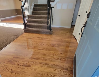 Photo of King Organic Clean just cleaned the Wood Floor Entry Way with clean brown carpet, clean flight of stairs, 