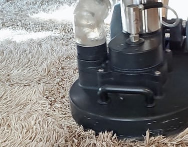 King Organic Clean, Organic Carpet Cleaning with the Tornado Powerhouse. Make white carpet Spot Free
