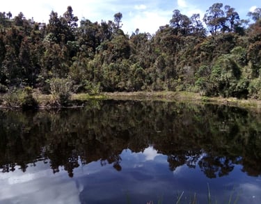 Lago en Reserva Natural El Páramo, Guasca, Cundinamarca, Colombia
