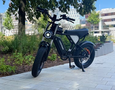 Black Lookroad all-terrain fat tire electric bike parked on a city sidewalk path.