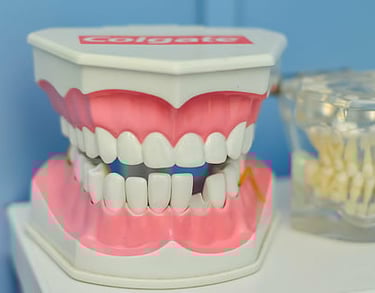 Modèle dentaire: dents et gencives pour démonstrations cliniques. cabinet dentaire Mokolo