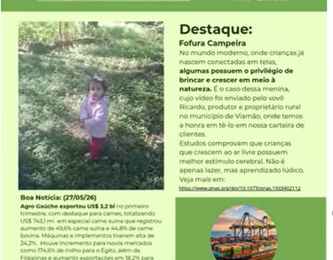 Newsletter 03 de 29 de maio de 2026