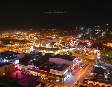 seguro para usa nogales