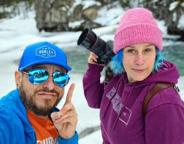 AI Cat Video Content Creation Studio - Creative Service for kitty kitten cat videos professional photographers