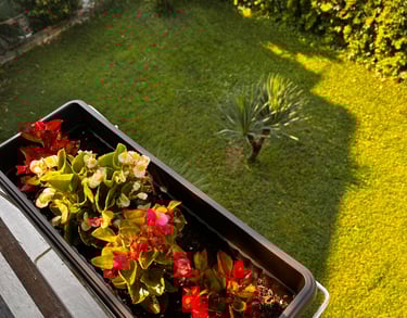 Quiet garden practice space at Yogessa Guest House, Lozenets Bulgaria. Ideal for nature-led yoga retreats.