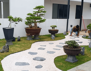 Bonsai garden installation at Laman Granview Selangor featuring potted trees and white gravel path.
