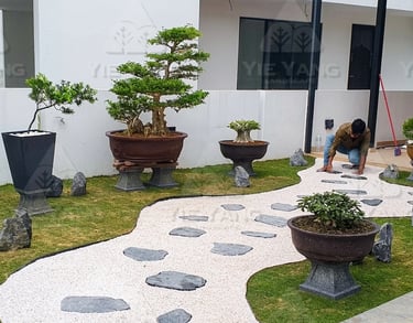Bonsai garden display with white gravel and stepping stones – Yie Yang Landscape