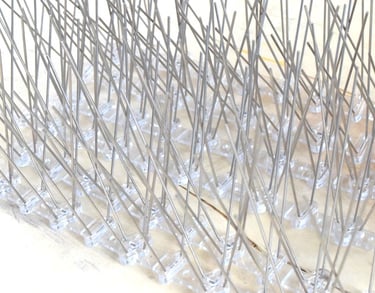 bird spike installation in bangalore by pigeon nets bangalore