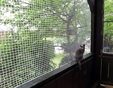 pet safety nets  installation in bangalore by pigeon nets bangalore 